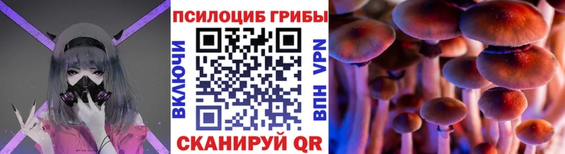 Галлюциногенные грибы Cubensis  купить   Острогожск 